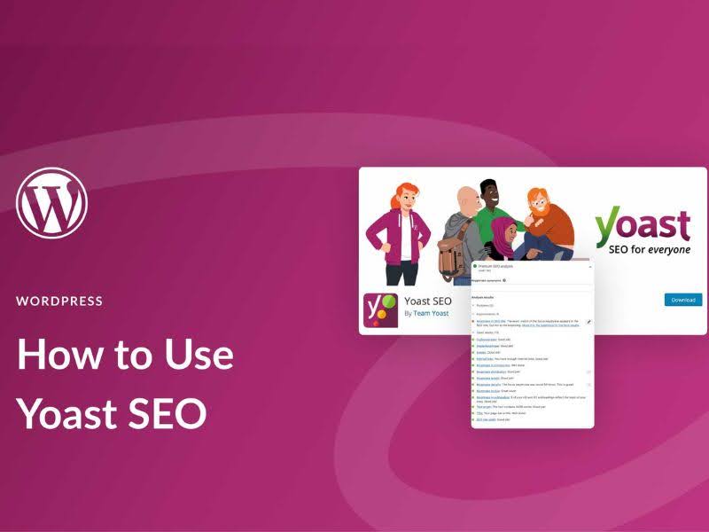 Discover the best rated SEO tool for B2B