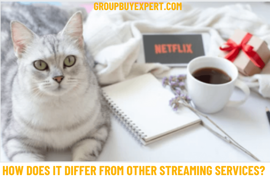 Kate Winslet Movies On Netflix, When Is Flash Season 9 Coming Out On Netflix, Matt Damon Movies On Netflix, Kevin Costner Movies On Netflix, Jennifer Aniston Netflix Movies, Discografia Rbd Netflix 1