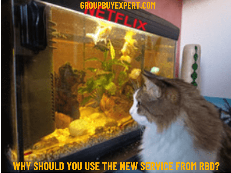 Kate Winslet Movies On Netflix, When Is Flash Season 9 Coming Out On Netflix, Matt Damon Movies On Netflix, Kevin Costner Movies On Netflix, Jennifer Aniston Netflix Movies, Discografia Rbd Netflix 2