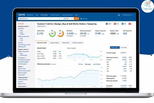 Emphasizing the significance of this SEO tool
