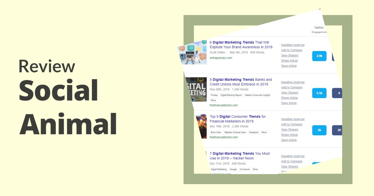 Social Animal,Social Animal tool, Social Animal tool review