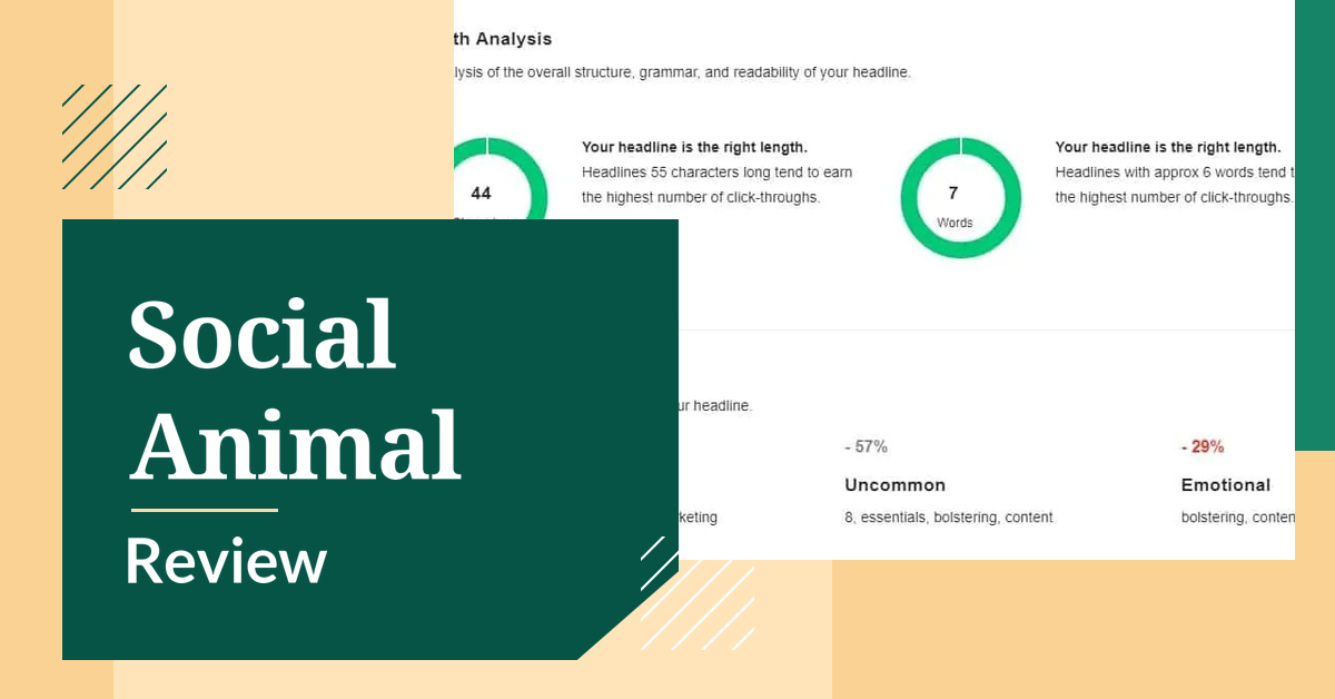 Social Animal,Social Animal tool, Social Animal tool review