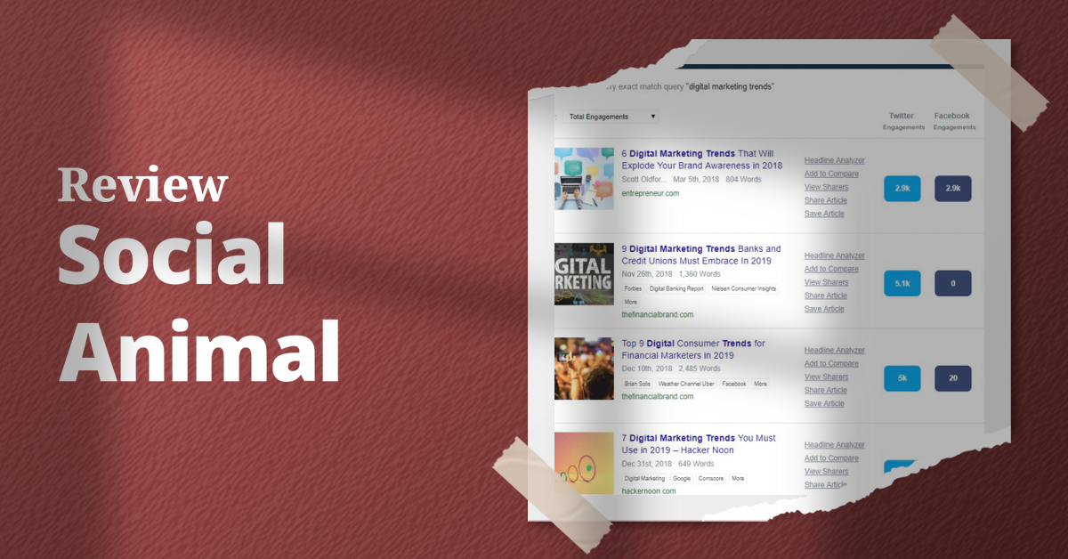 Social Animal,Social Animal tool, Social Animal tool review