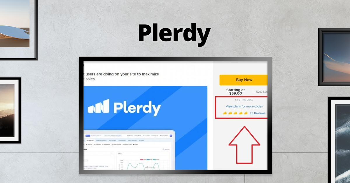 Plerdy,Plerdy review