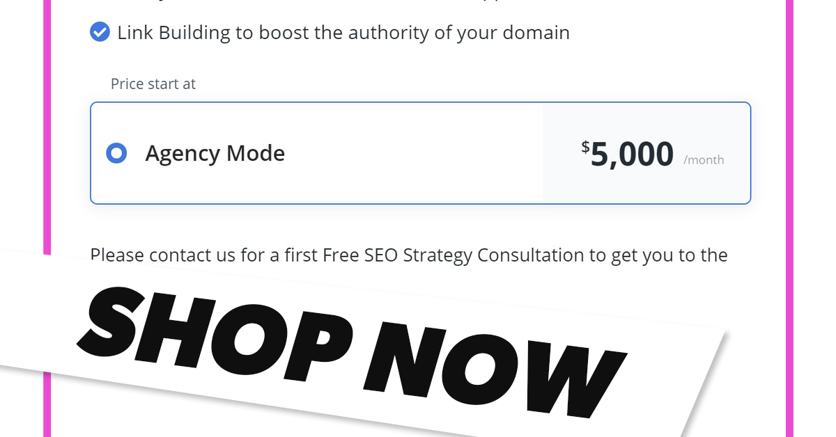 seo buddy,seo buddy review