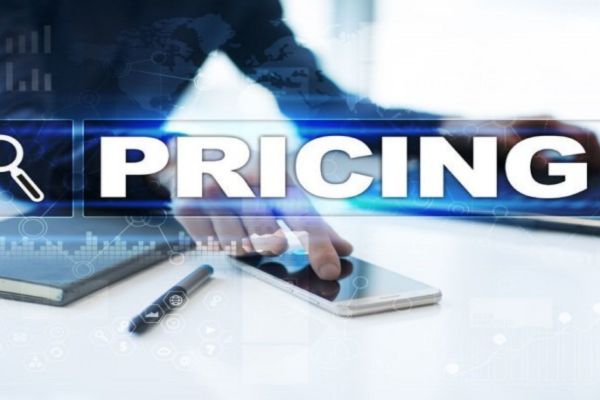 Pricing between neuron writer vs surfer seo