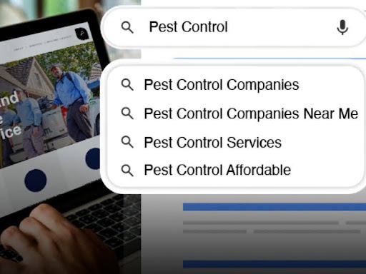 SEO for pest control companies