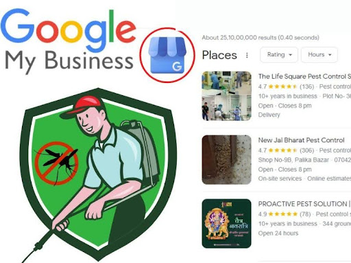 Create a Google Business Profile for the pest control SEO 