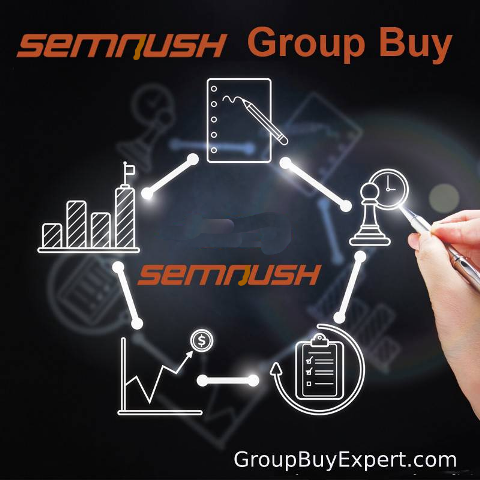 Semrush Group Buy Account cheap pricing