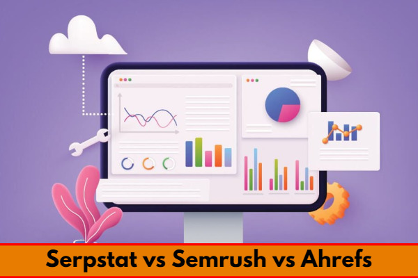 Which one is better on-site audit