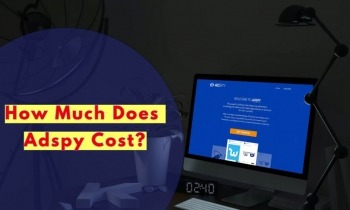 How Much Does Adspy Cost