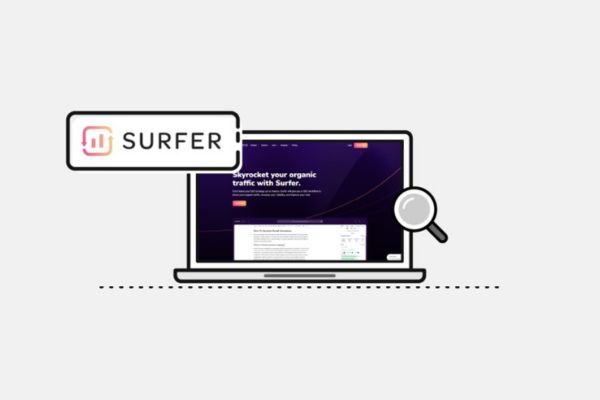 Surfer Seo group buy