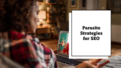 using Searcharoo for Parasite SEO with benefits